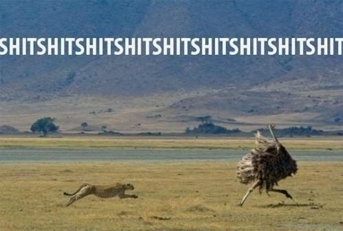 Ода вечерней пробежке