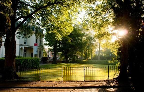 Художница Весна