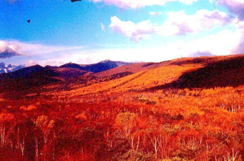 В ОЖИДАНИИ ЧУДА