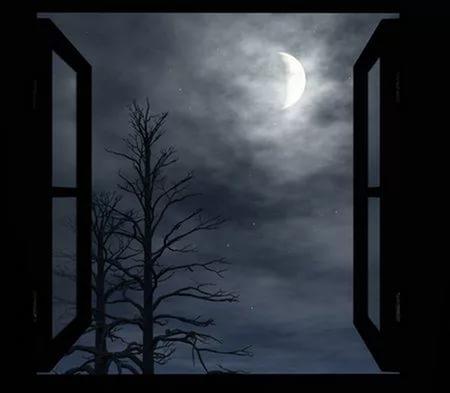 ЛЮБИШЬ ТЫ ЕЁ, СЕРЁЖКА?