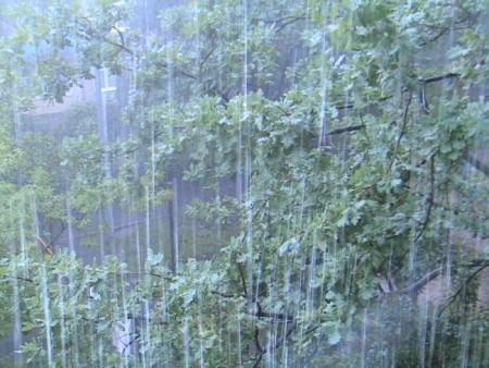 ТЁПЛЫЙ ДОЖДЬ