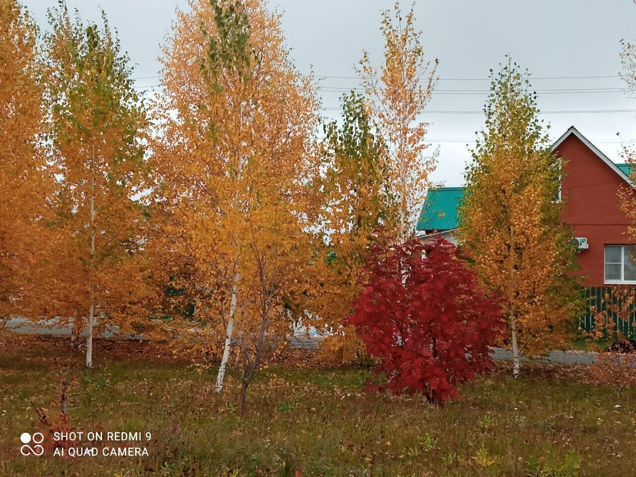 СЕ ЛЯ ВИ... (ТАКОВА ЖИЗНЬ) ФОТО АВТОРА.