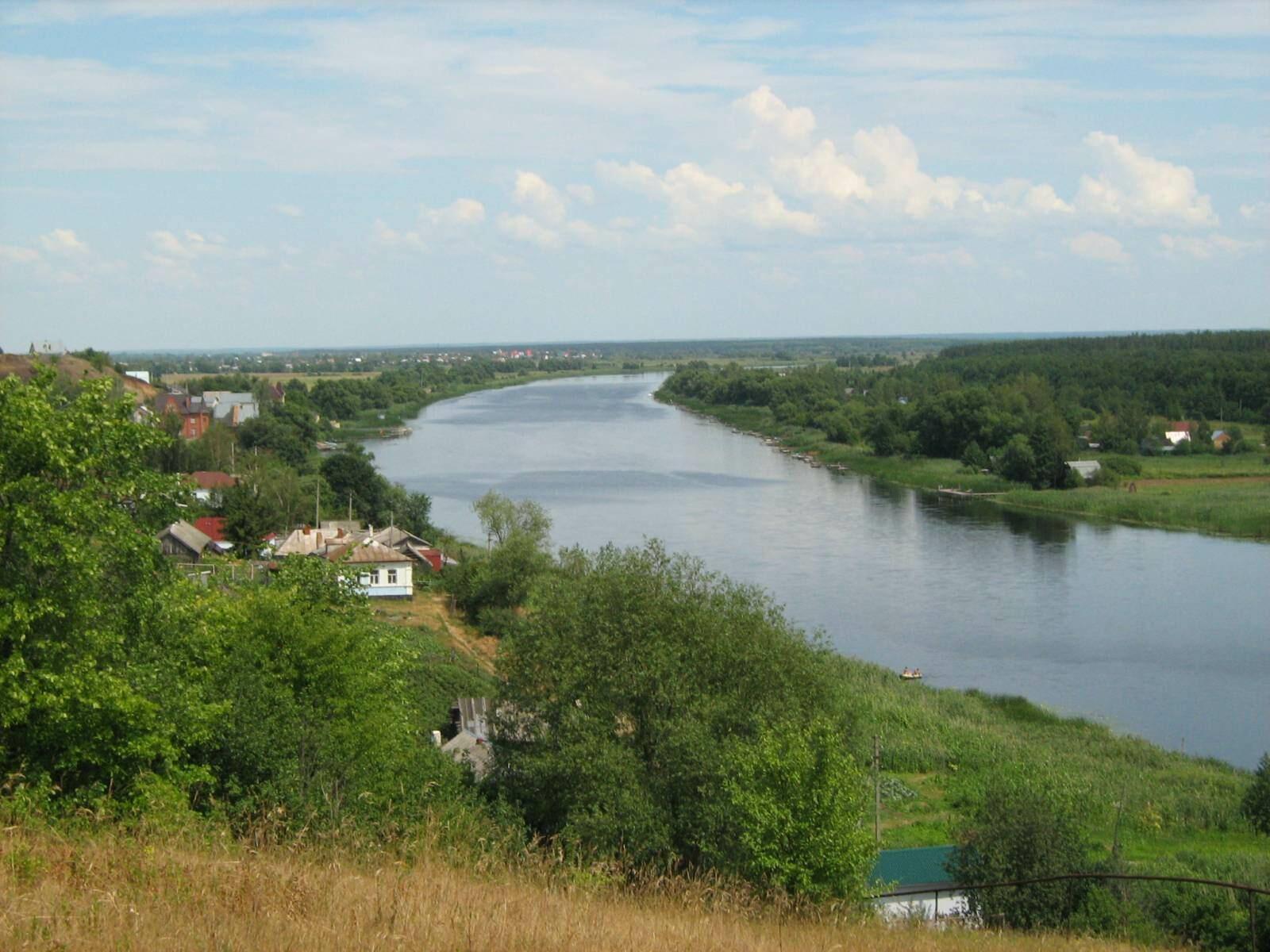 Оставь цветы на клумбе в покое