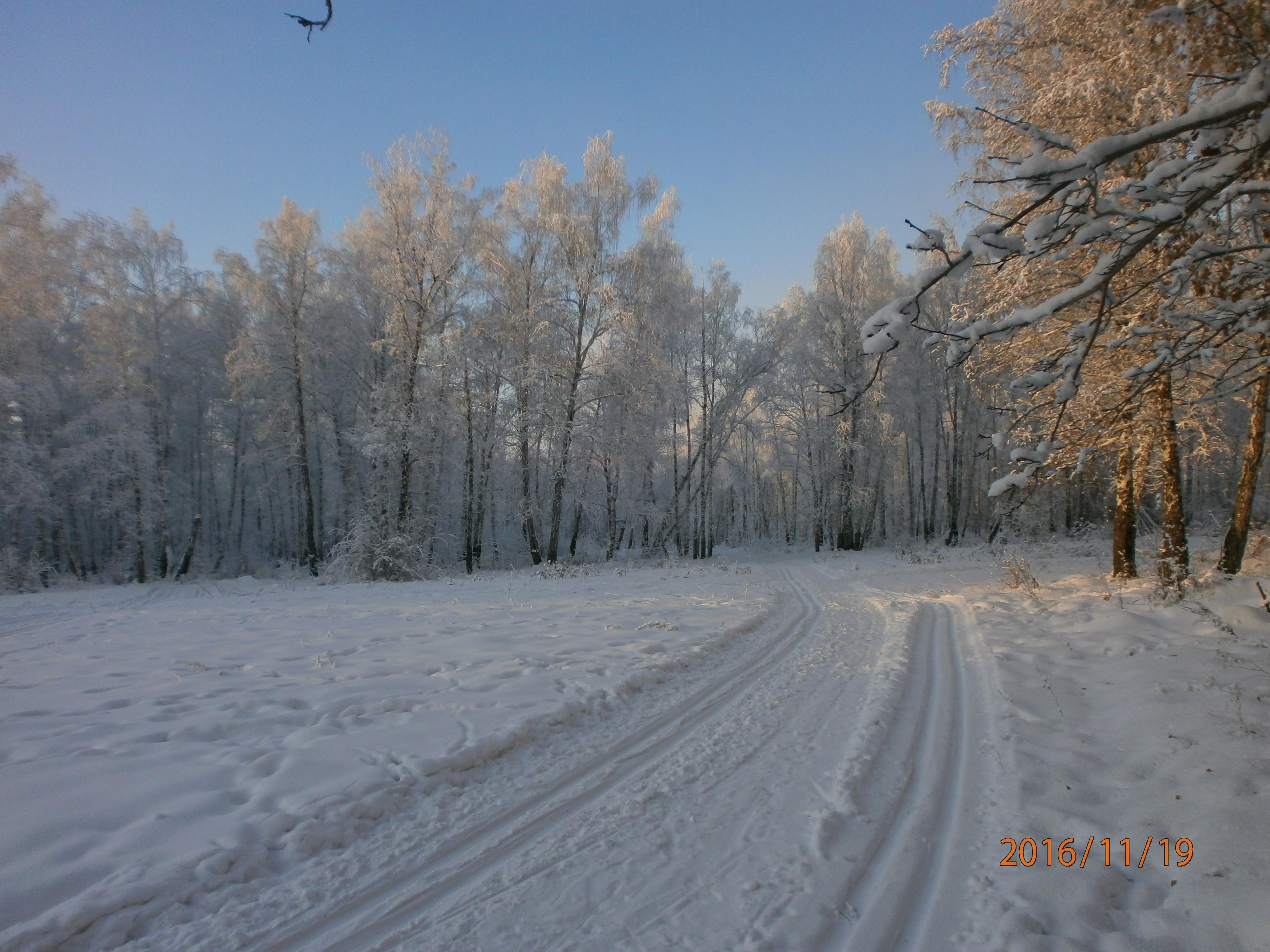 Лыжня зовет