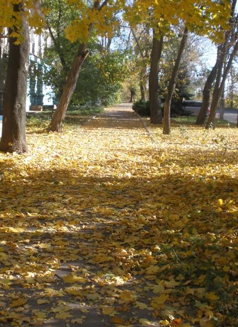 "Моя долгожданная осень" (28.10.2012)