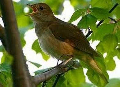 Здравствуй, лето