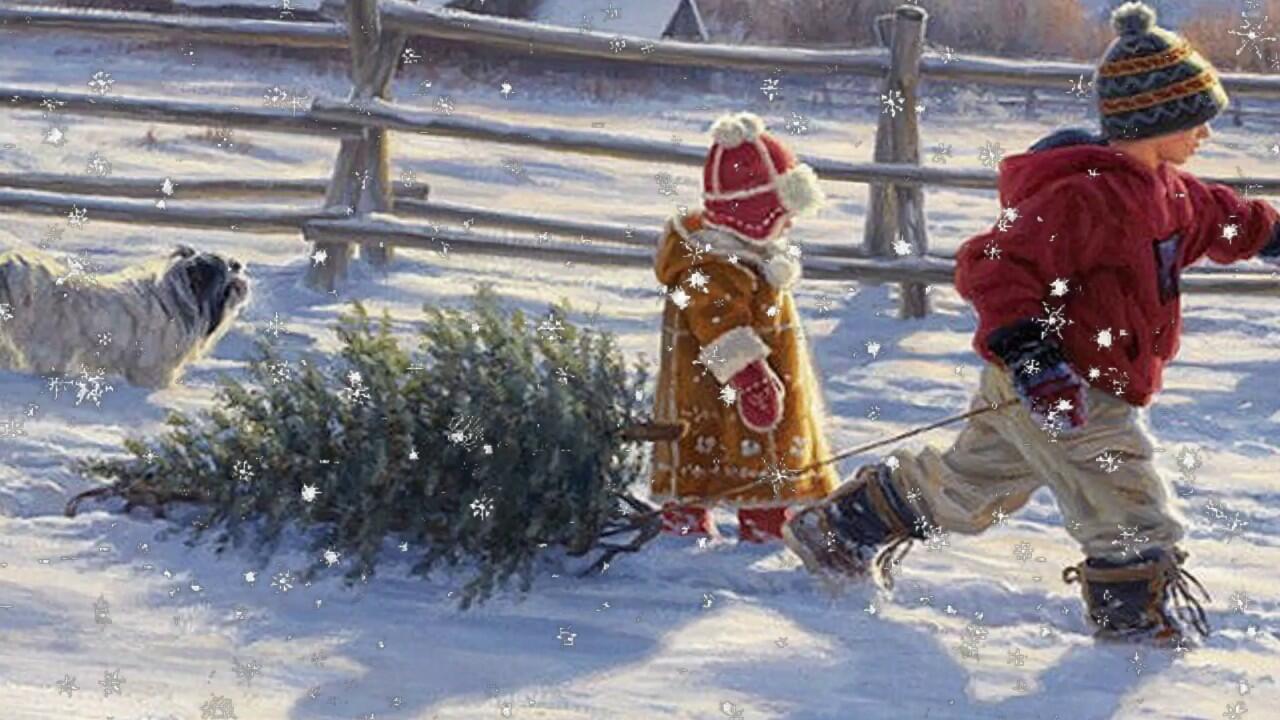 ВЕРНЁМ - КА ЁЛОЧКУ