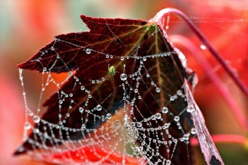 Осенняя печаль в душе