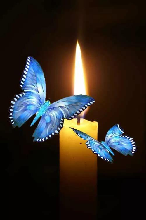 Спешил, куда-то Мотылёк...