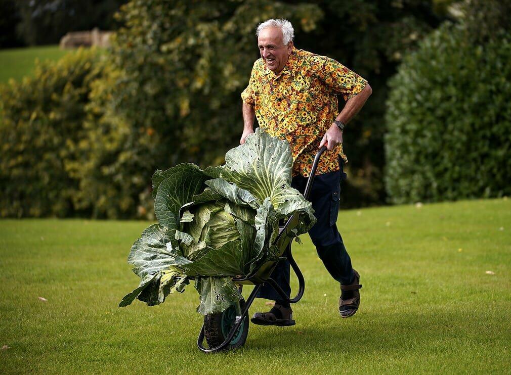 ТАМ ГДЕ ЗИМЫ НЕ БАЛУЮТ - ( почти сказочка )