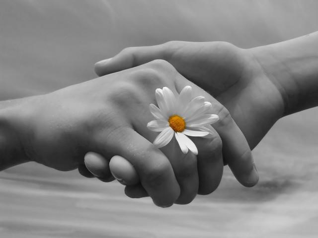 Не расcтавайтесь с любимыми