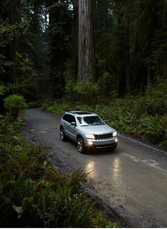 Равновесие