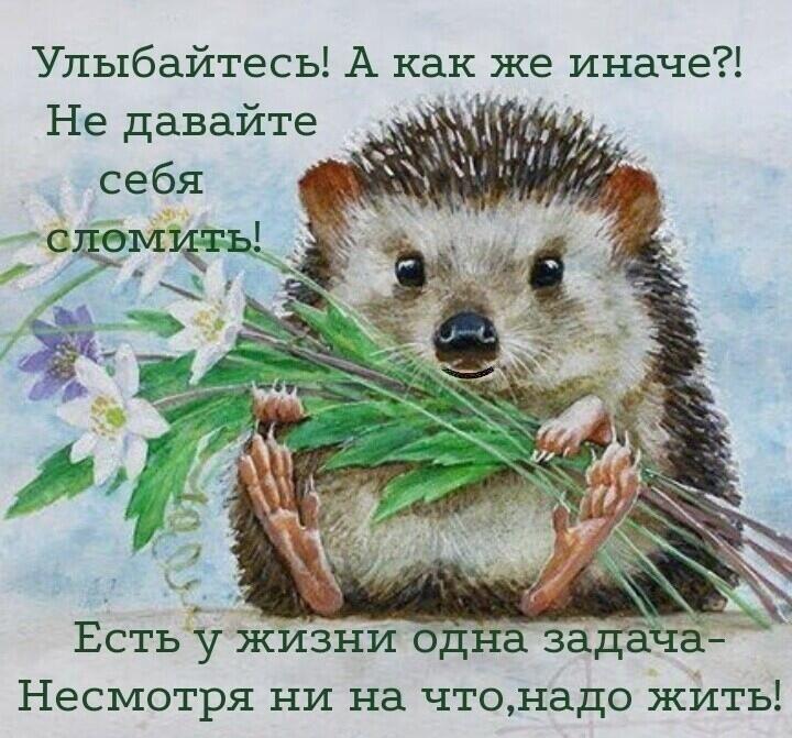 Шуми листвой и улыбайся!