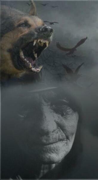 По широкой аллее парковой... - Сергей Зуев