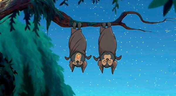 Две летучие мыши.