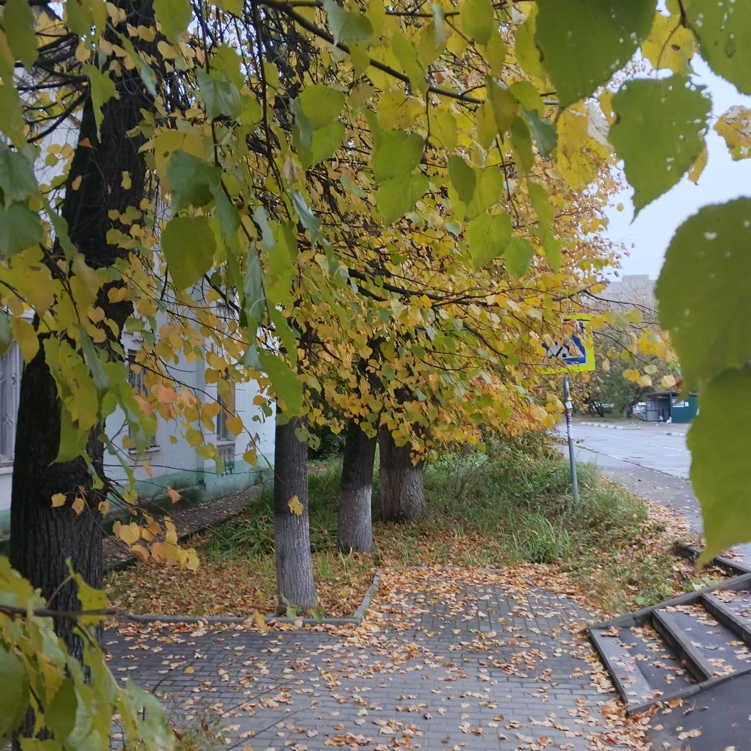 Об осени пишу...