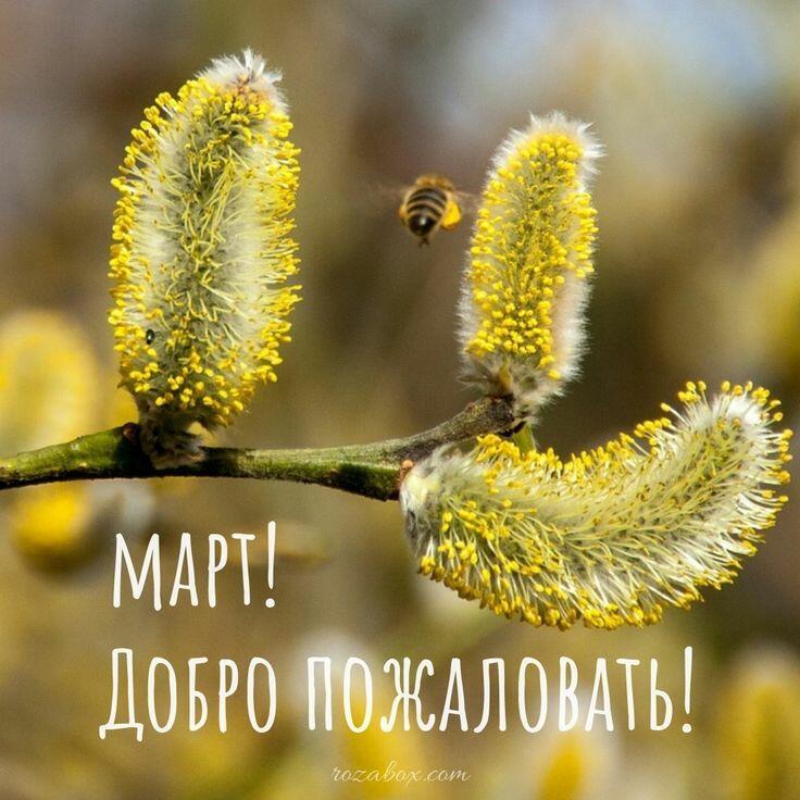 Март пришёл.