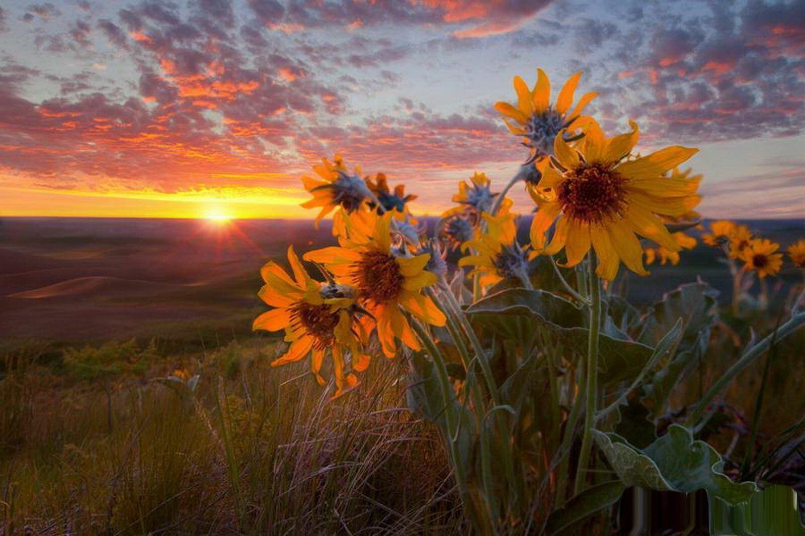 Последний луч августа