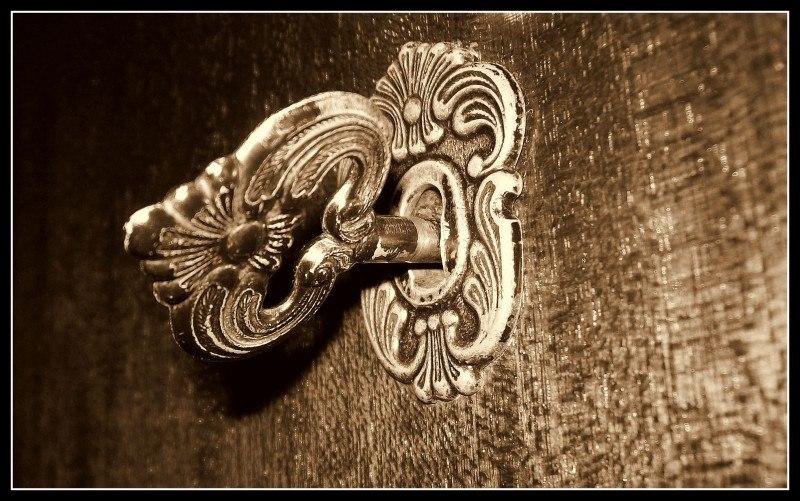 ЗА ДВЕРЬЮ СЛОН