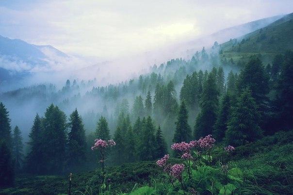 Тяжёлый рассвет