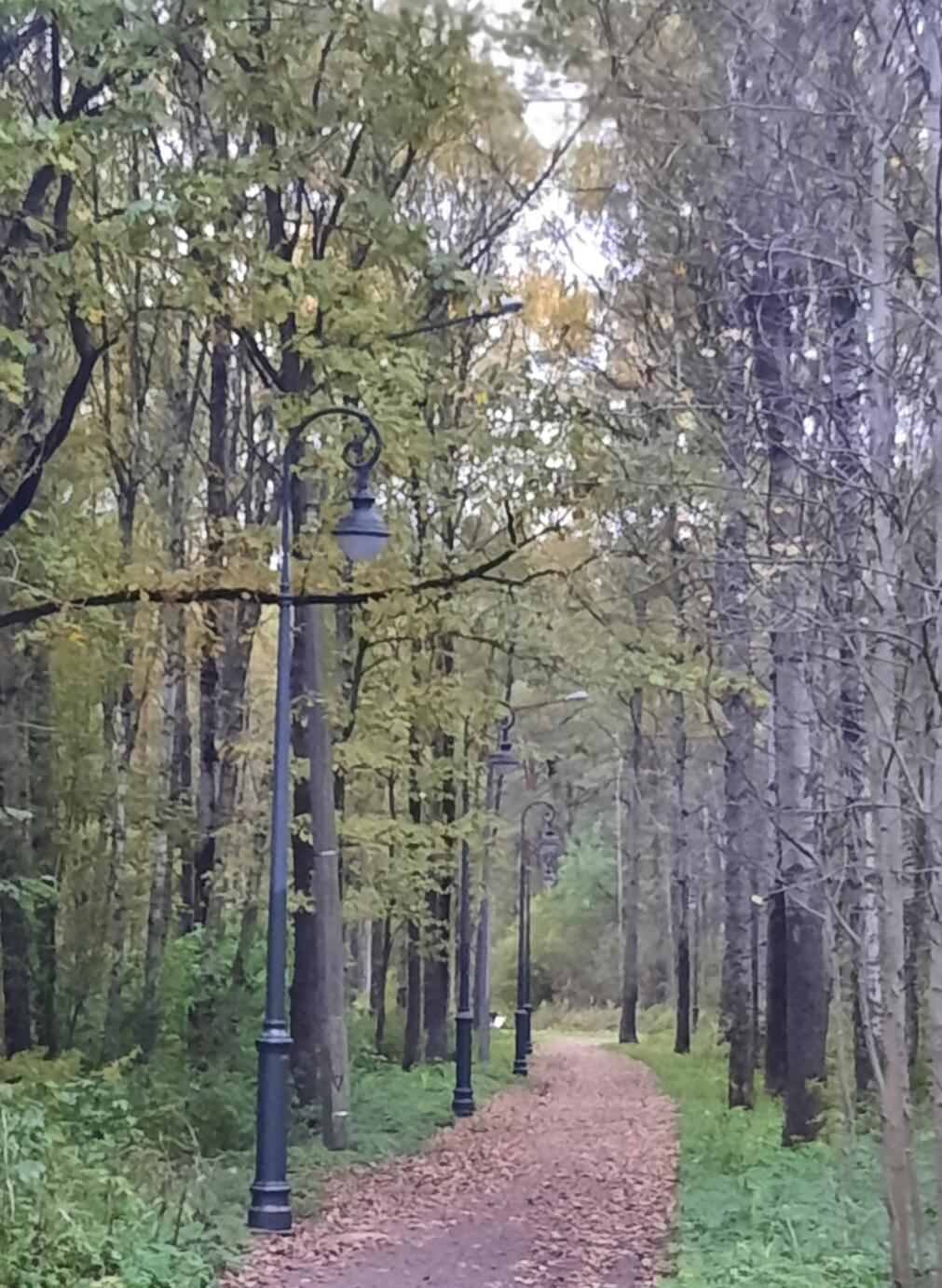 Осенний Петербург 