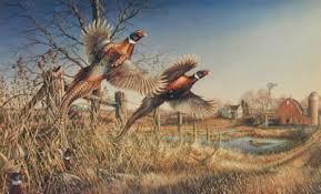 Притаиться я желаю здесь