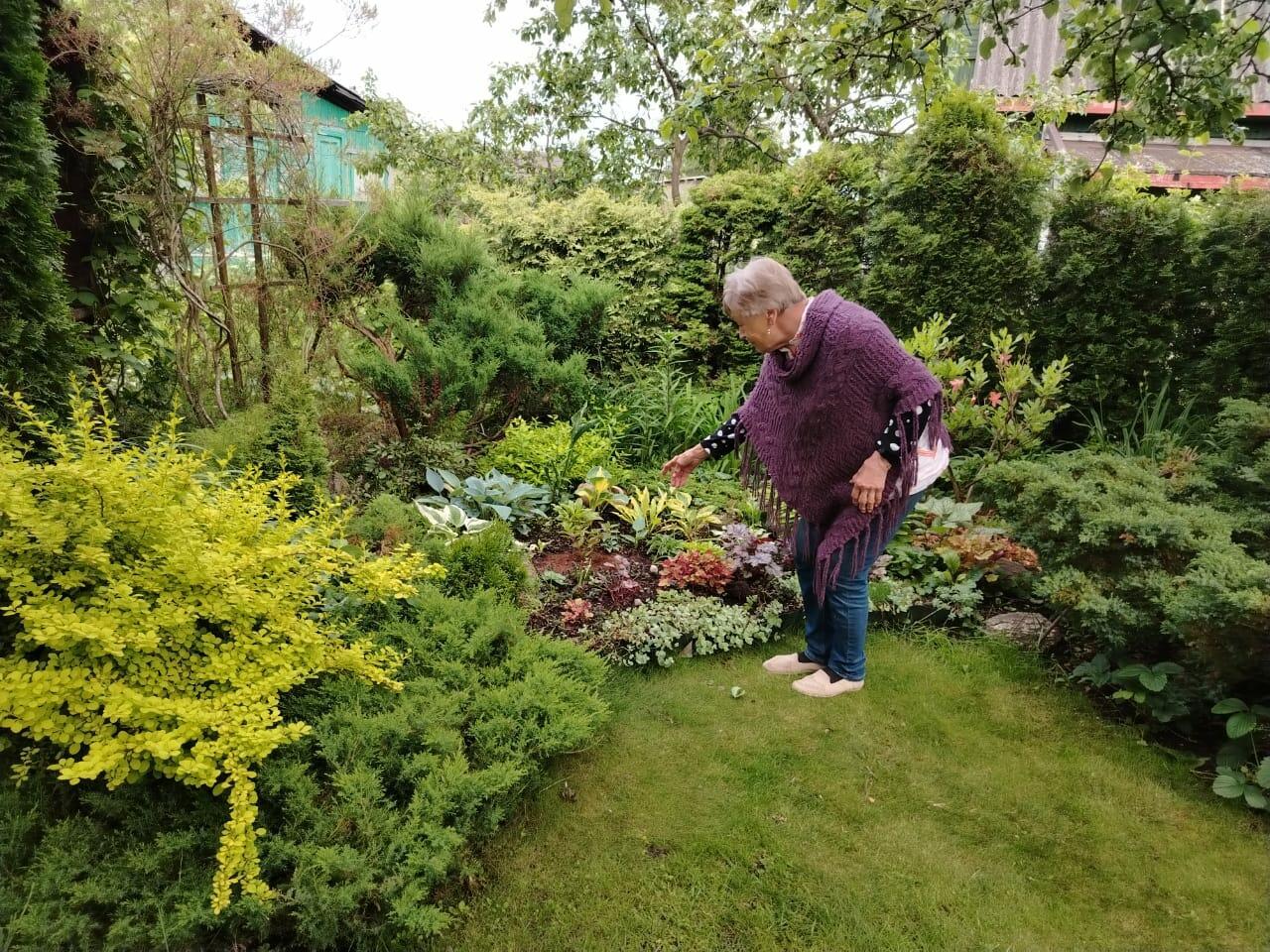 Садовый художник