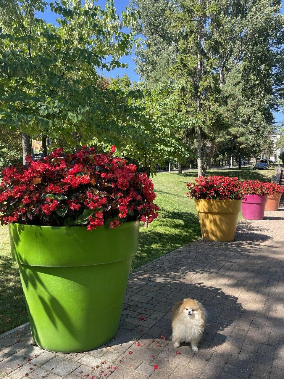 Мы так серьезны в своем горе