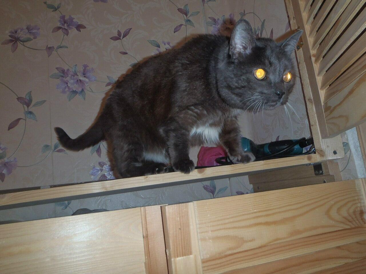 В старом доме