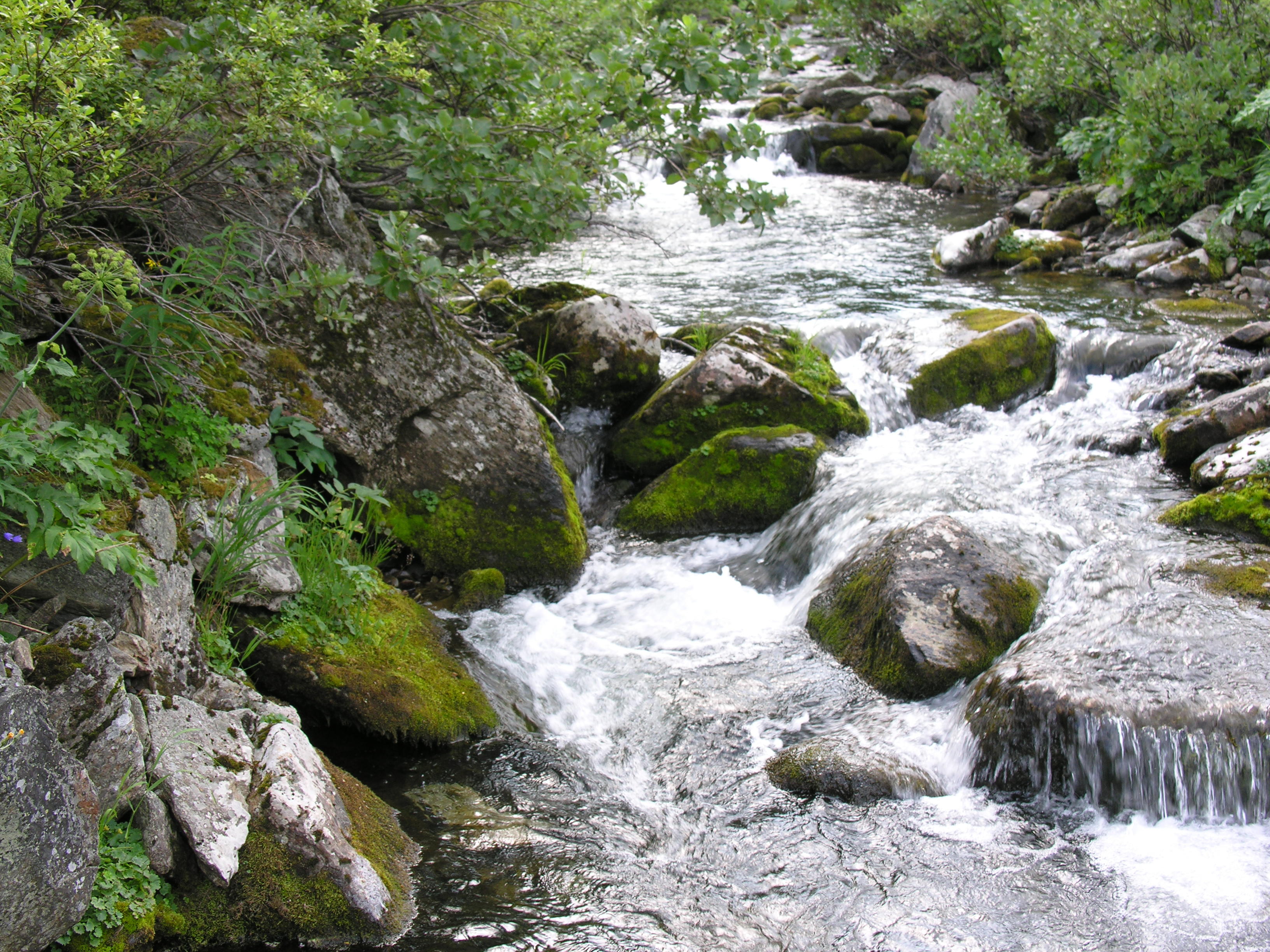 Воды Стикса