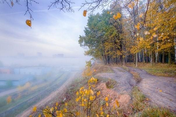 Вдохновение осенью