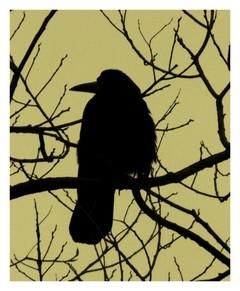 Поздняя Осень