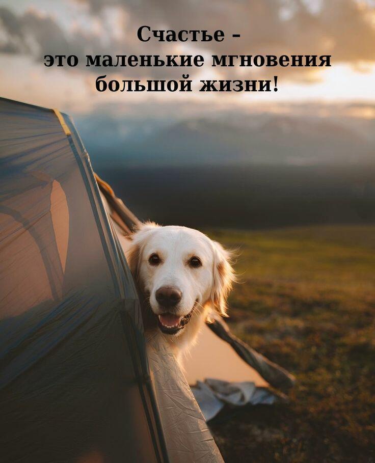 ДЛЯ ЛУЧШЕГО ДРУГА...