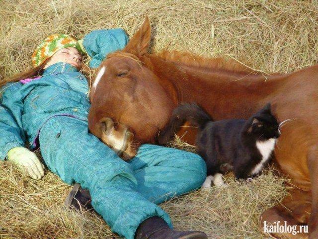 НА ЛЕТО В ДЕРЕВНЮ