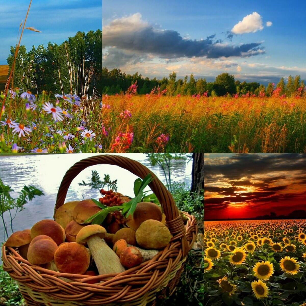 ---Август, возвращайся---