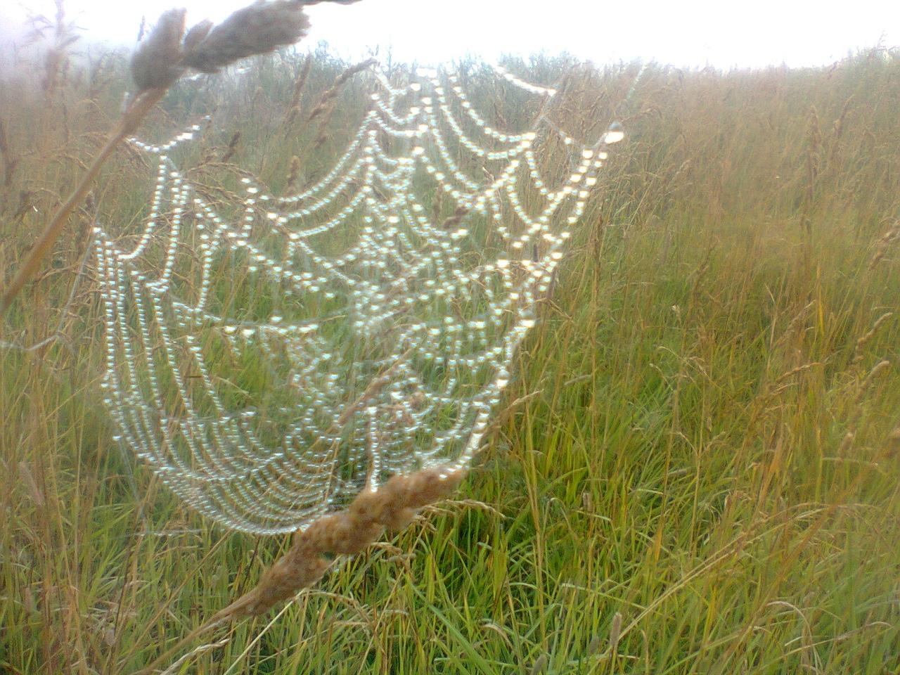 Раннее утро