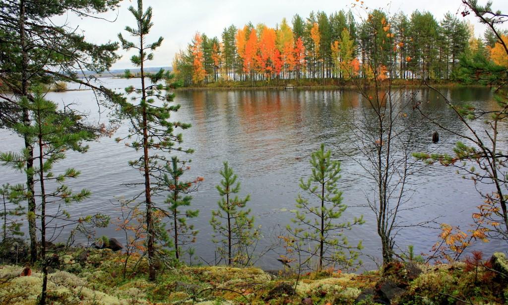 Пироги с брусникой