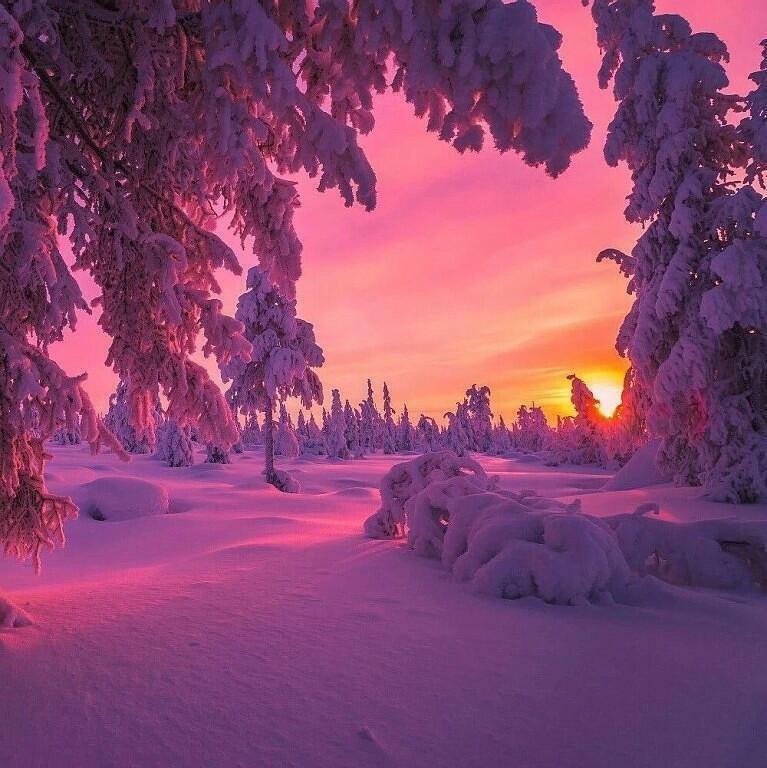 Ночь. Поспешно мглою укрывала...