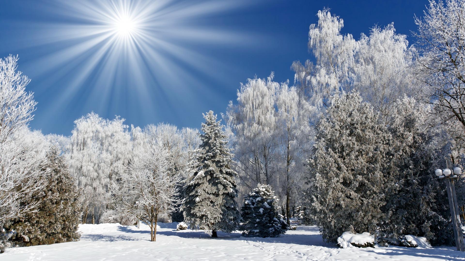 Солнце в декабре