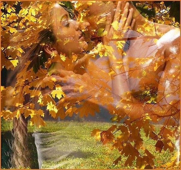 БАРХАТНОЕ  ТЕПЛО .