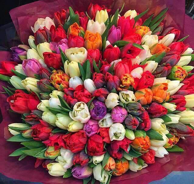 Ракурс в прошлое