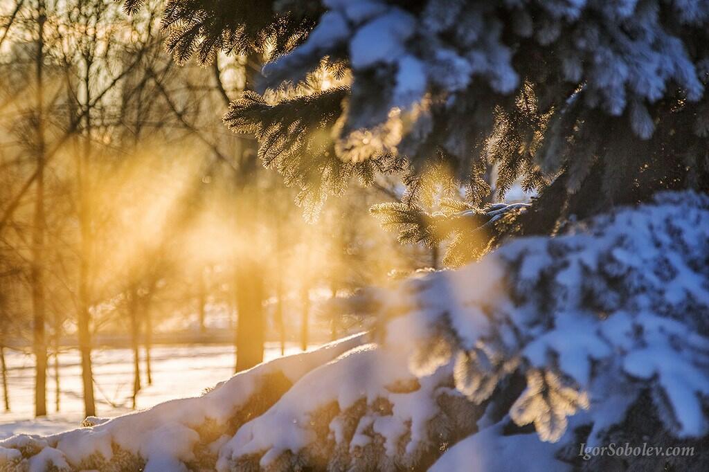 Прими в подарок это утро 