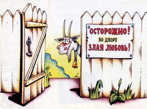 Любовь всё же зла
