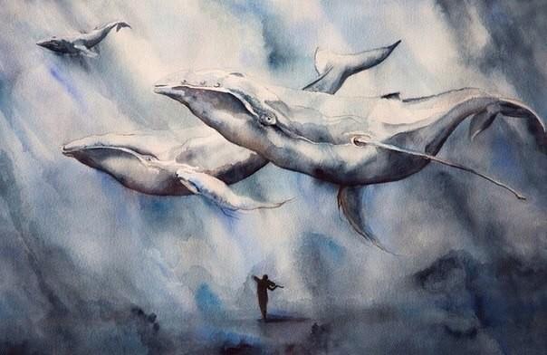 Летающие киты