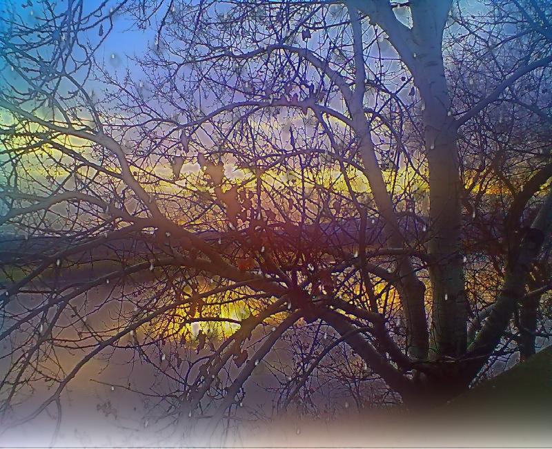 Печальная рапсодия.