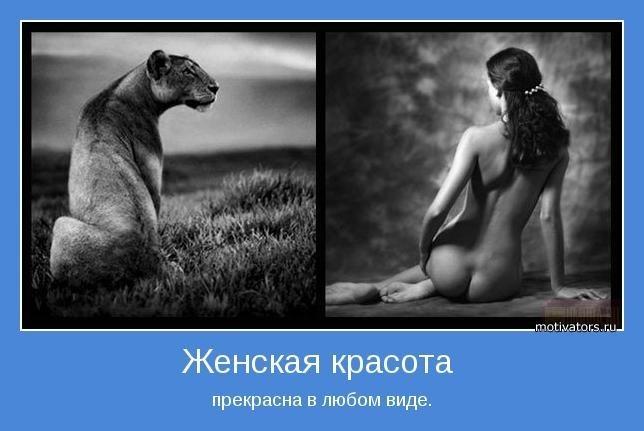 Моя пантера