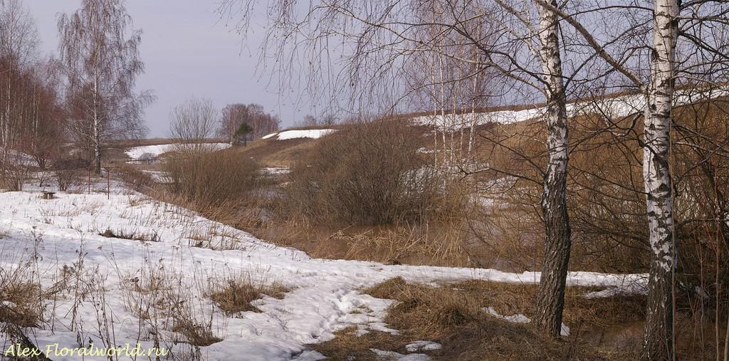 Приход весны