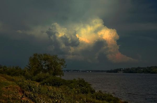 тысячелистник