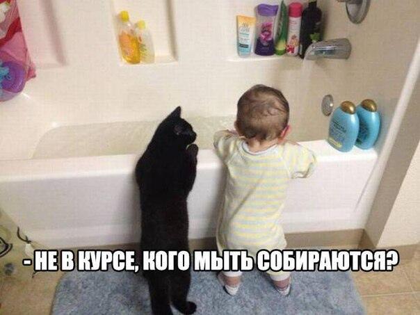 Чистоты Блюдение