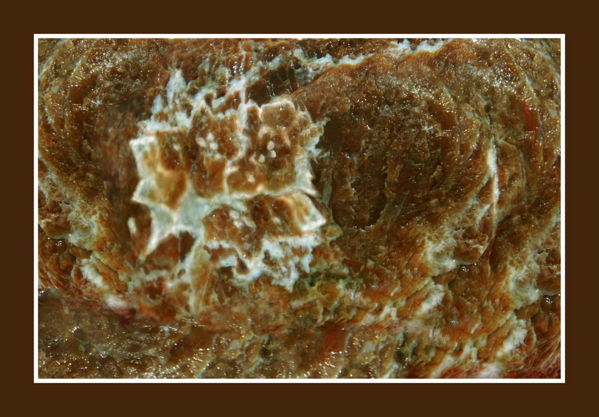 Еврейскому поэту Иегуде Галеви (1075 – 1141)